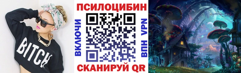 гидра маркетплейс  Курчалой  Галлюциногенные грибы ЛСД  купить закладку 